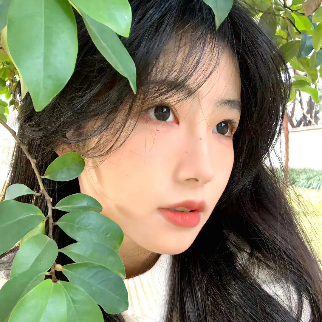 心花放粤语