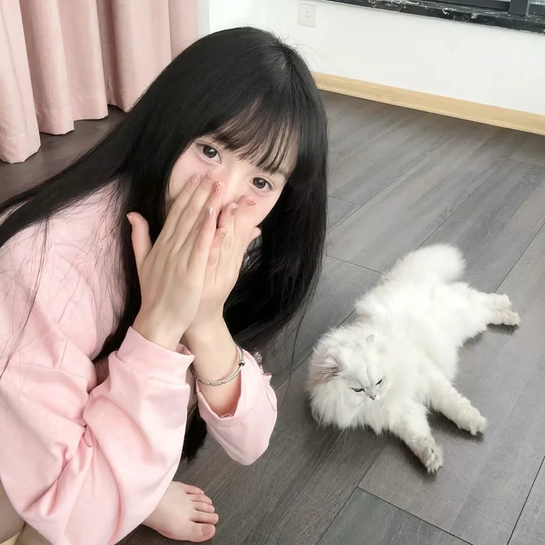不死鸟之恋