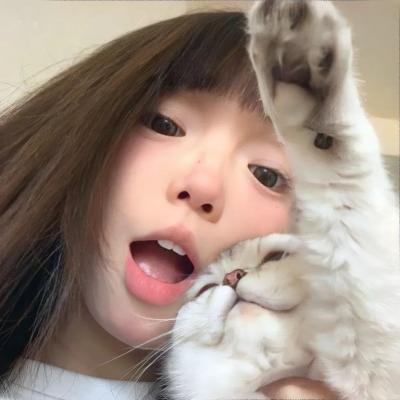 猛虫过江